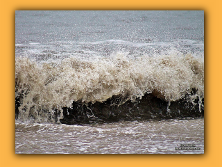 Am Strand von Nymindegab (1).jpg